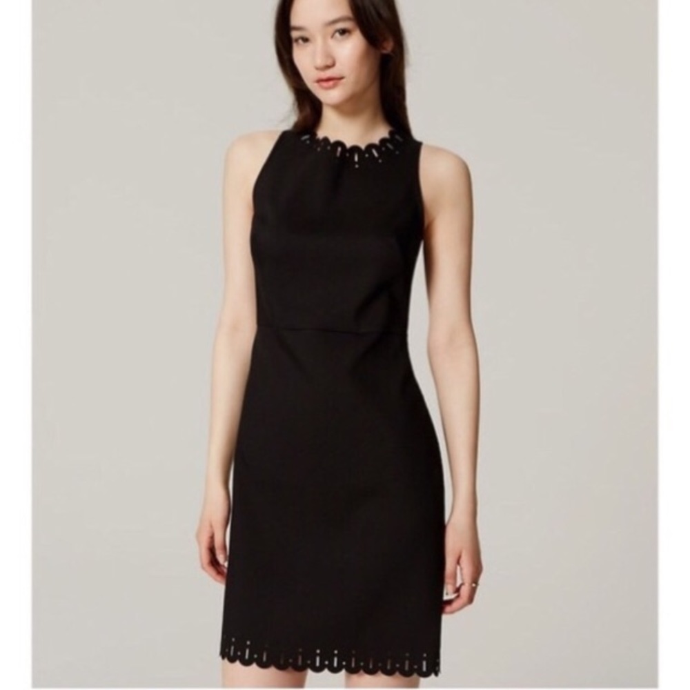 LOFT Laser Cut Scallop Sheath Dress sz 2P